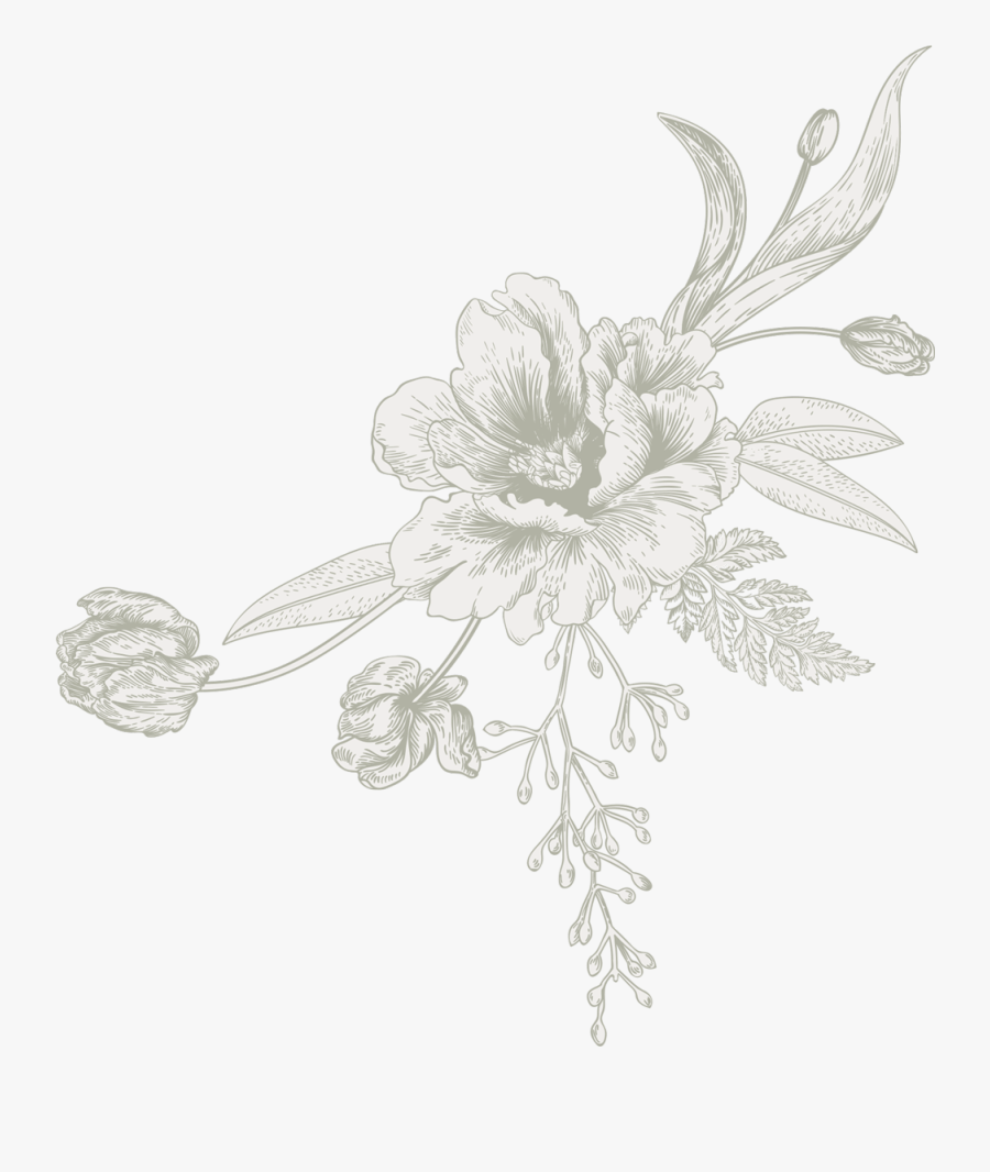 Transparent Beautiful Flower Clipart - Lily, Transparent Clipart