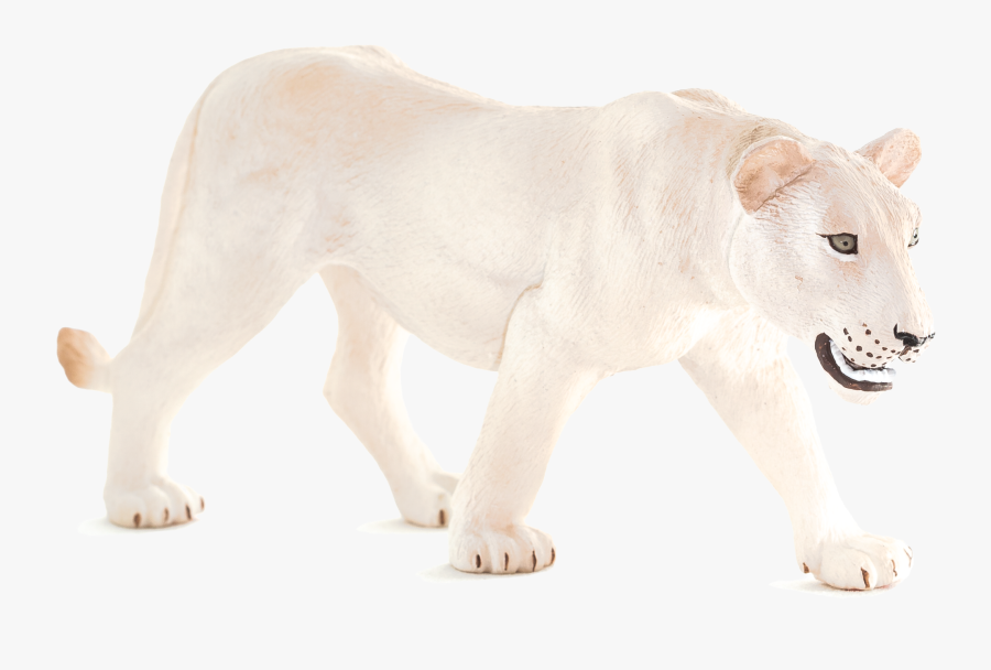 Transparent Animal Planet Png - Lion, Transparent Clipart