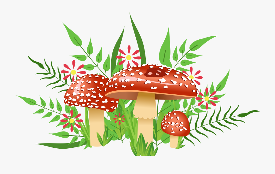 Mushrooms Decorative Element Png - Green Orange Flowers Clipart, Transparent Clipart