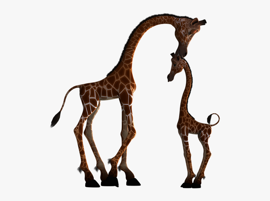 Giraffe, Mammal, Funny, Fantasy, Digital Art, Isolated - Scroll Saw Animal Pattern, Transparent Clipart