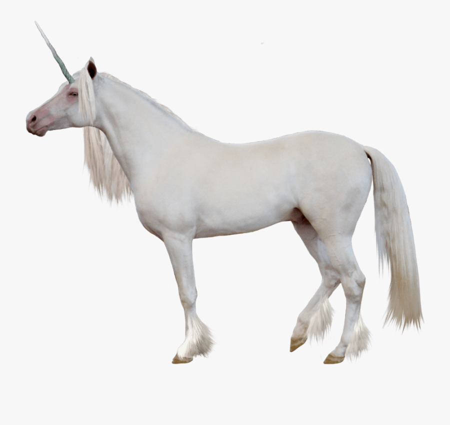 Side View Of A Unicorn, Transparent Clipart