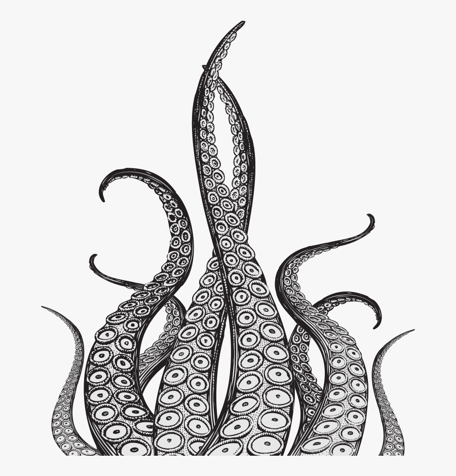 Kraken Octopus Squid Drawing Tentacle - Octopus Tentacles Drawing, Transparent Clipart