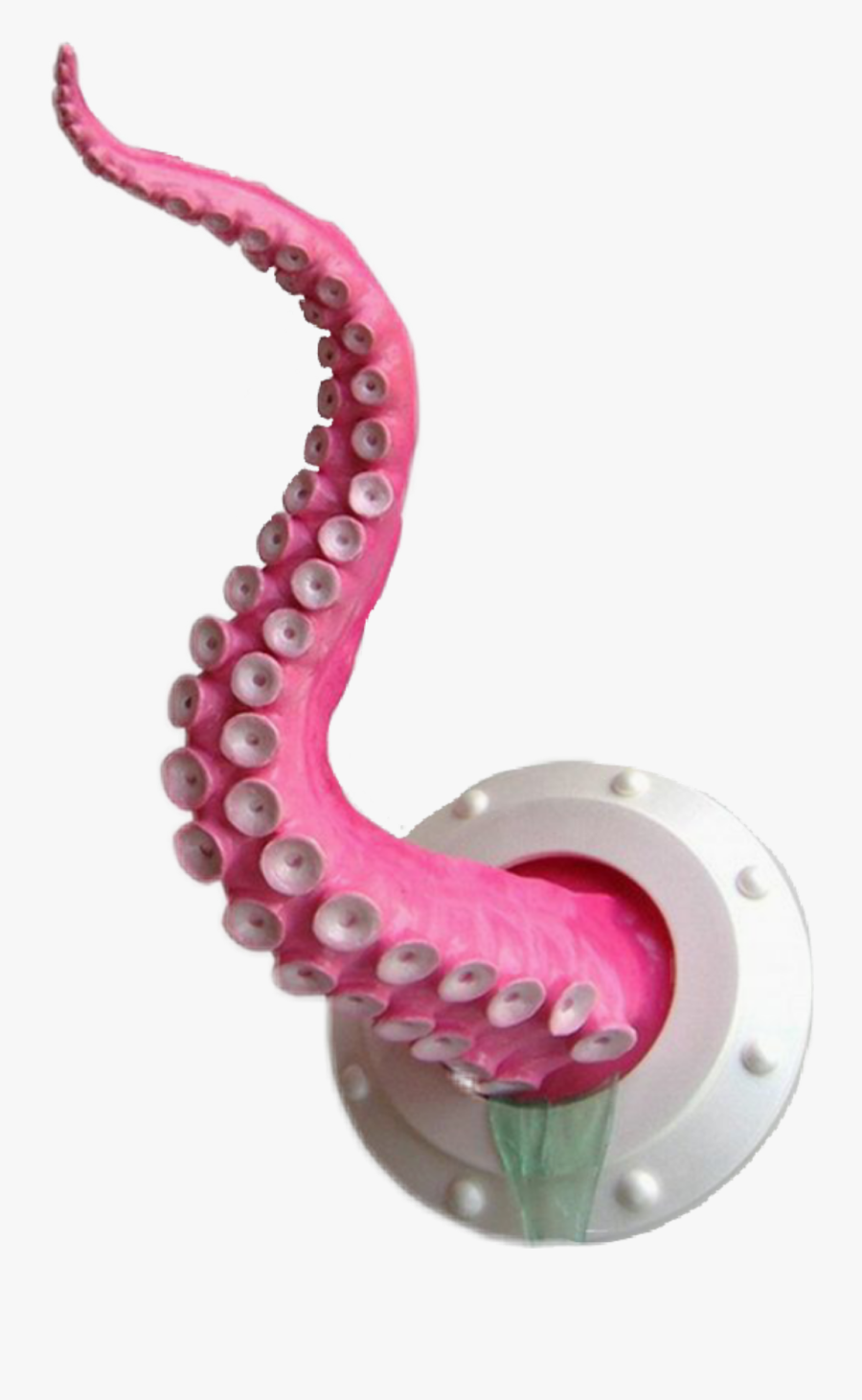 #art #octopus #tentacle #drain #pink #edits #sticker - Tentacle Sticker, Transparent Clipart
