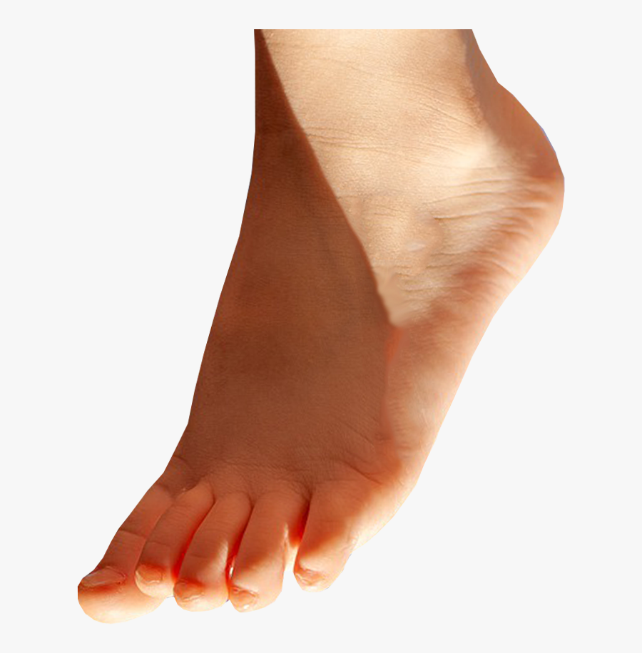 Foot Pointing Down - Transparent Background Feet Png, Transparent Clipart