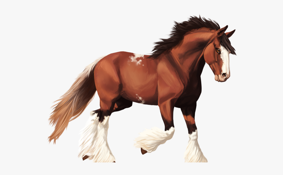 Transparent Background Horse Png, Transparent Clipart