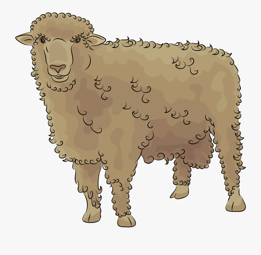 Sheep, Transparent Clipart