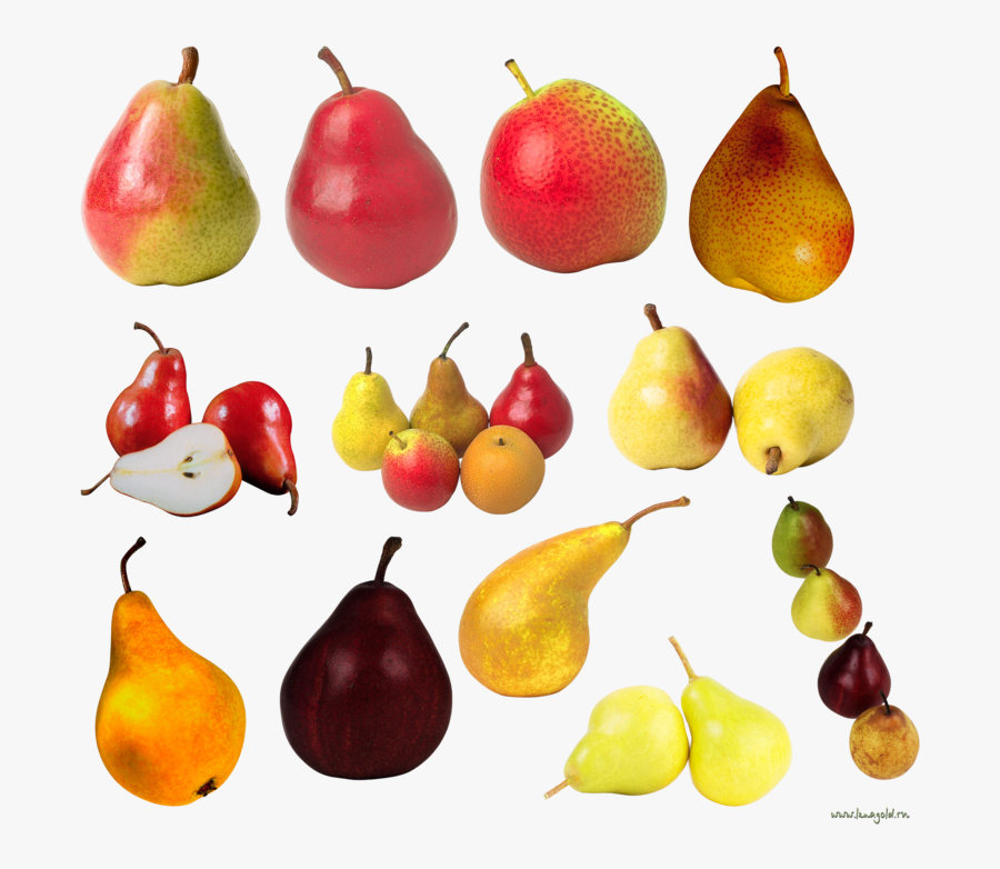 Pear, Transparent Clipart