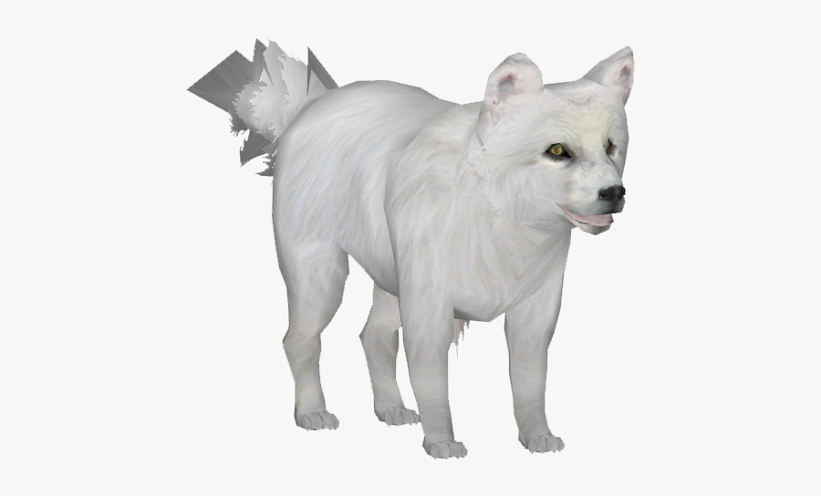 Zt2 Arctic Fox, Transparent Clipart