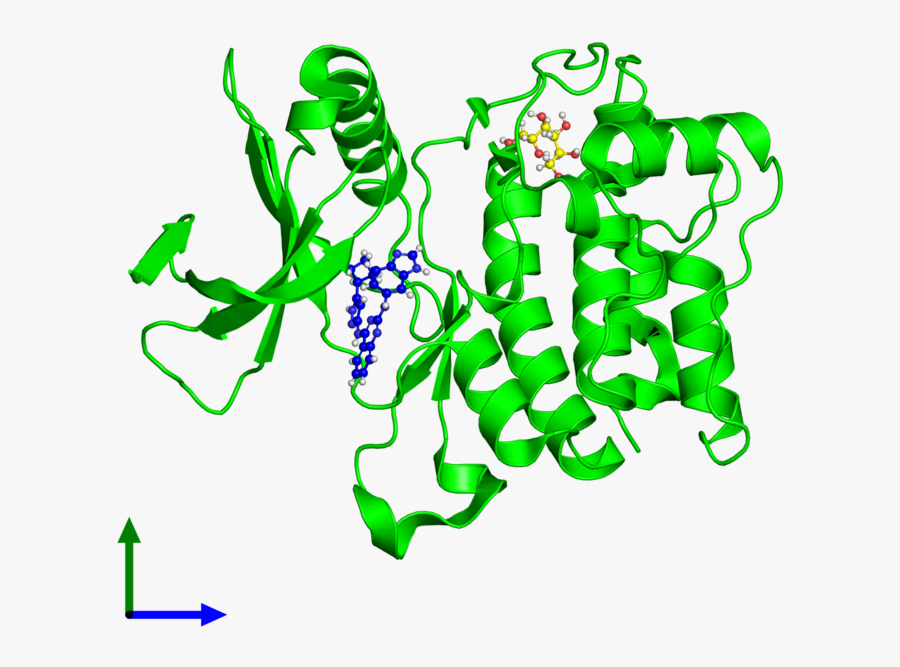 Three Structures Of The Human Gene Product In The Pdb, Transparent Clipart