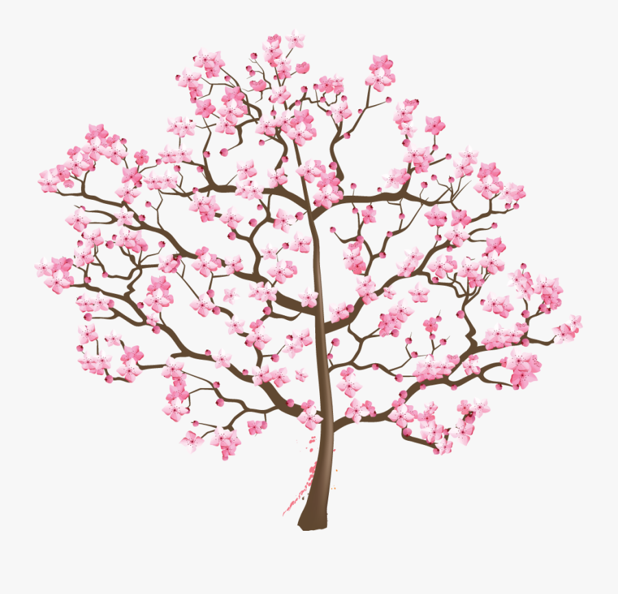 Transparent Cherry Blossom Png - Cherry Blossom, Transparent Clipart