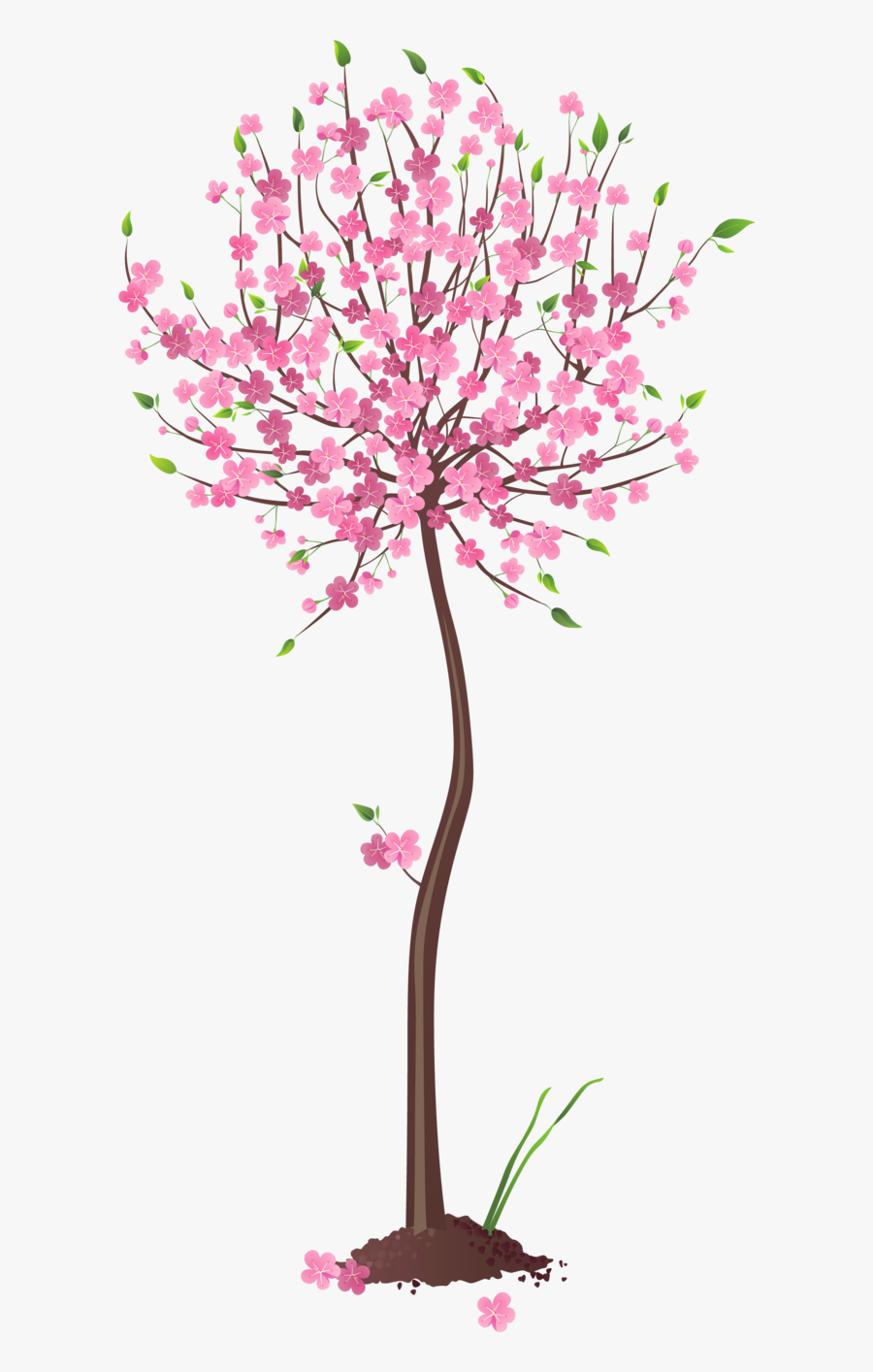 Transparent Background Spring Tree Clipart, Transparent Clipart