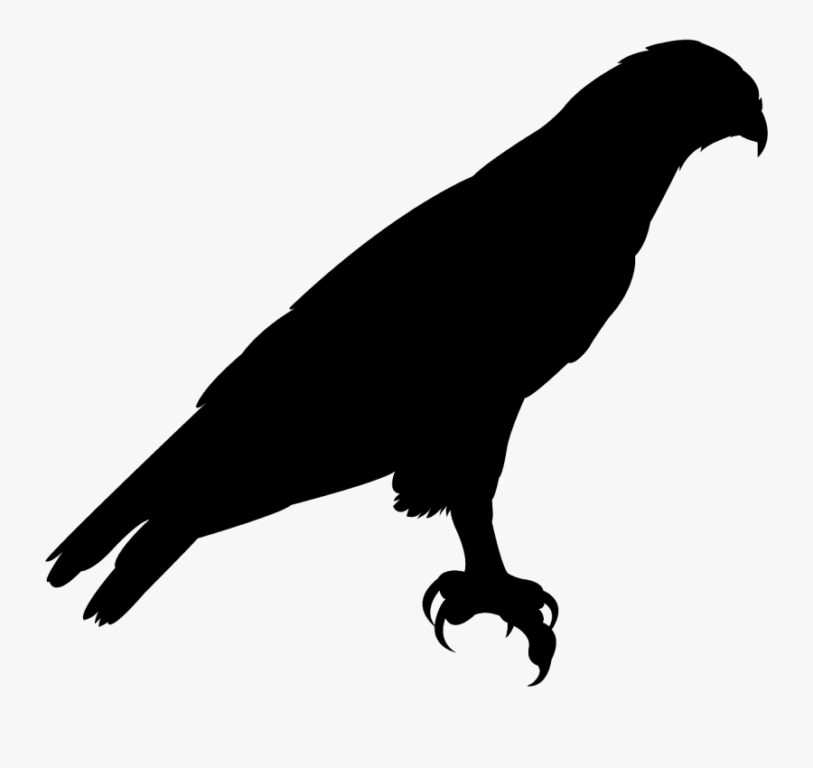 Red Kite Bird Silhouette, Transparent Clipart