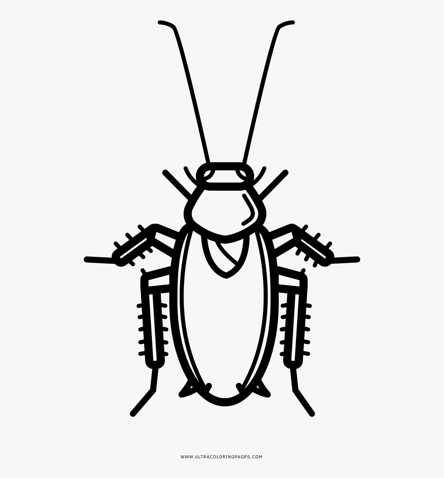 Transparent Cockroach Png - Barata Colorir Png, Transparent Clipart