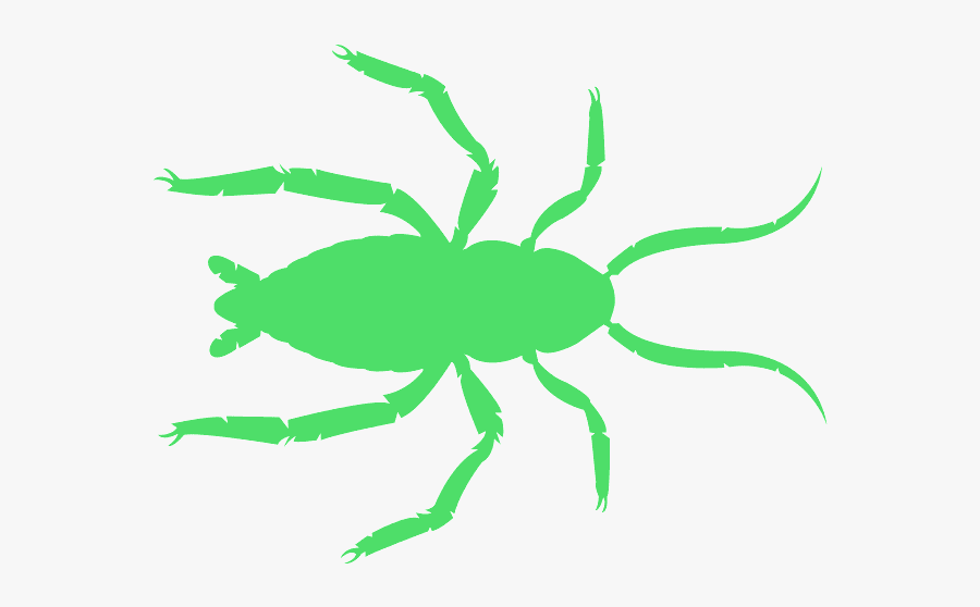 Tick, Transparent Clipart