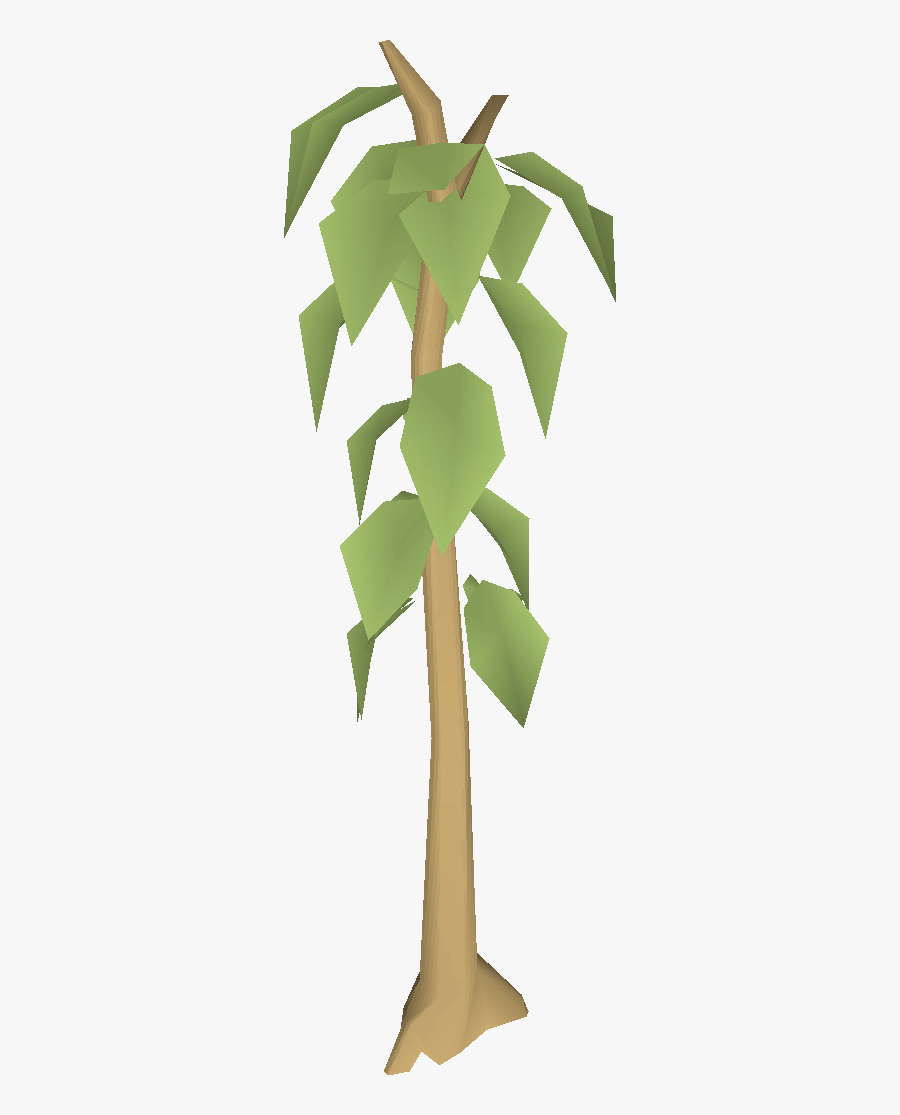 Old School Runescape Wiki - Transparent Teak Tree Clipart , Free ...