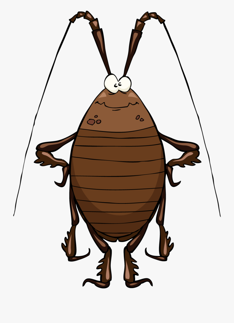 Transparent Cockroach Png - Cockroach Cartoon Png, Transparent Clipart
