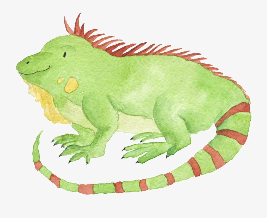 Watercolor Hand Drawn Animal Iguana Illustration , - Watercolor Painting, Transparent Clipart