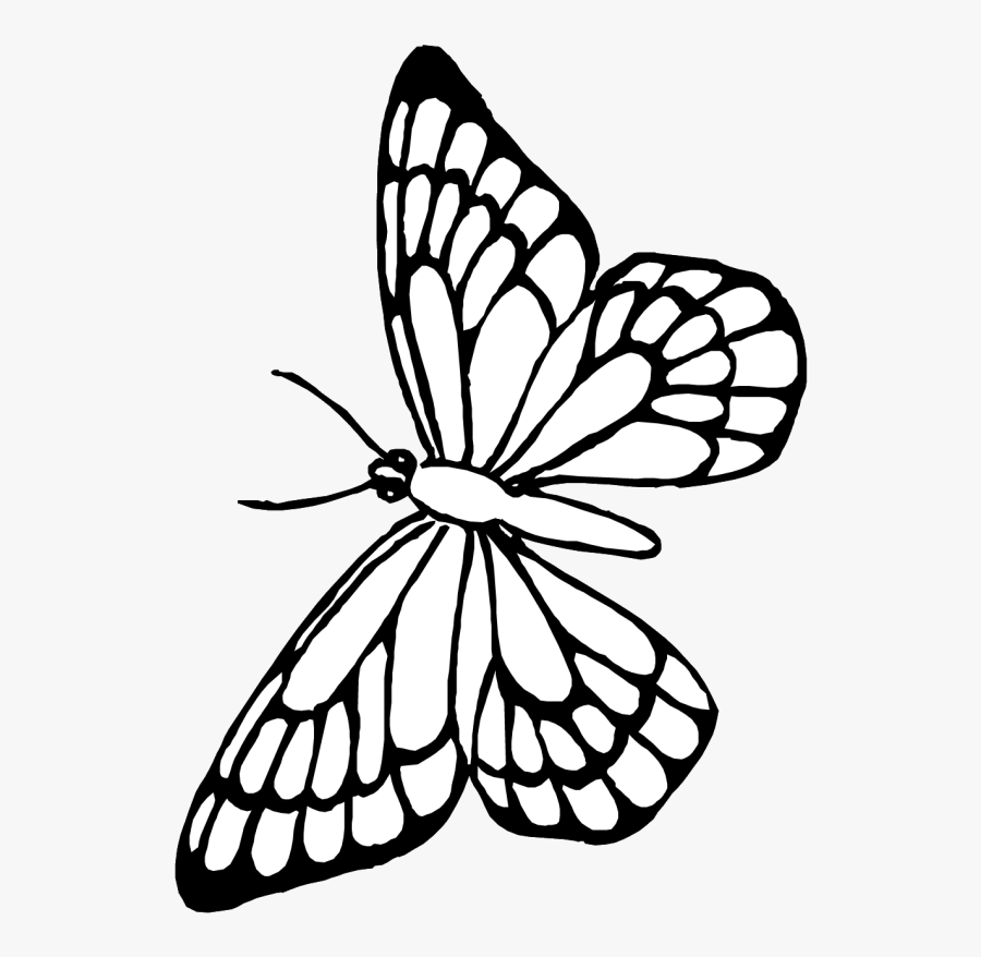 Transparent Butterfly Outline Clipart - Borboleta Desenho Para Pintar, Transparent Clipart