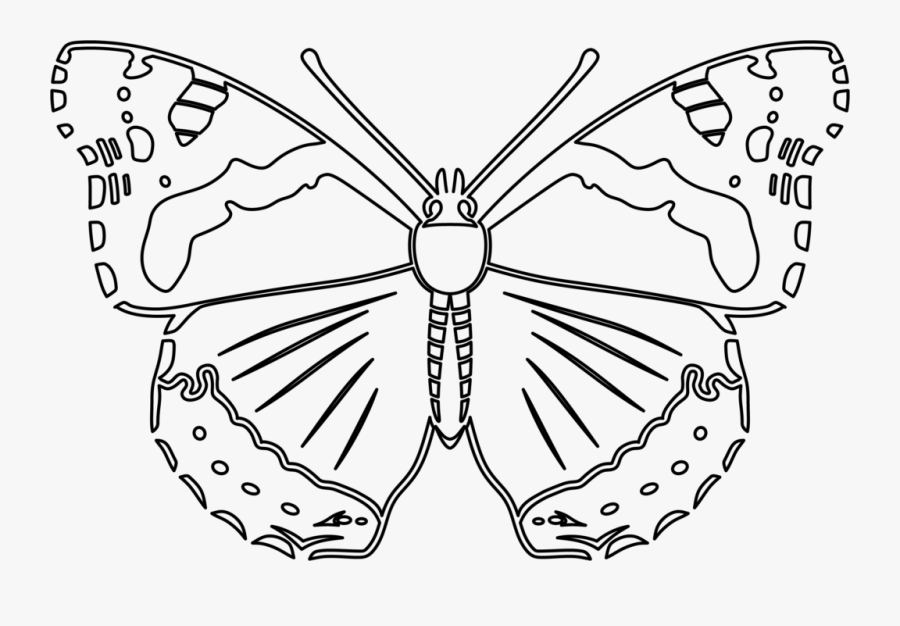 Transparent Butterfly Outline Clipart - Red Admiral Butterfly Outline, Transparent Clipart