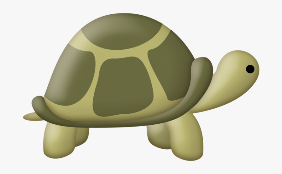 Galápagos Tortoise , Free Transparent Clipart - Clipartkey