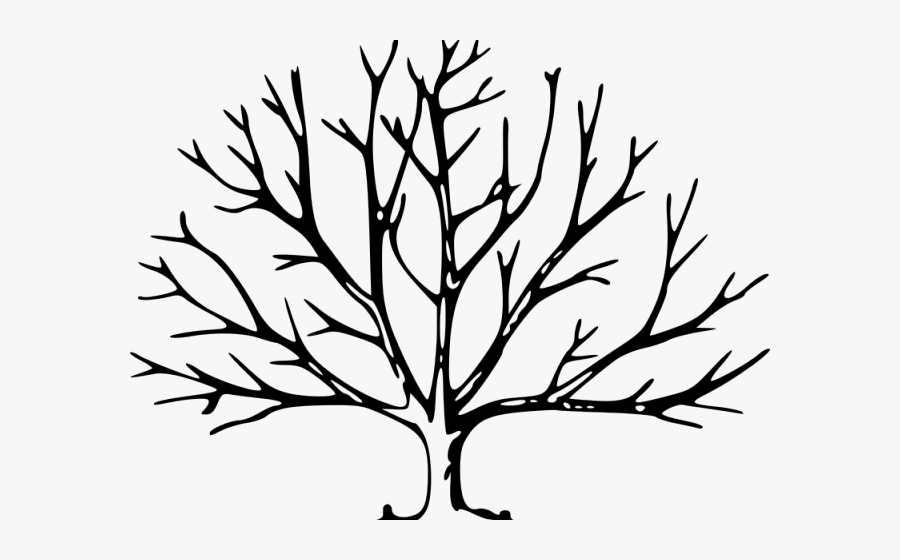 Drawn Tree Pecan - Leave Less Tree Drawing , Free Transparent Clipart