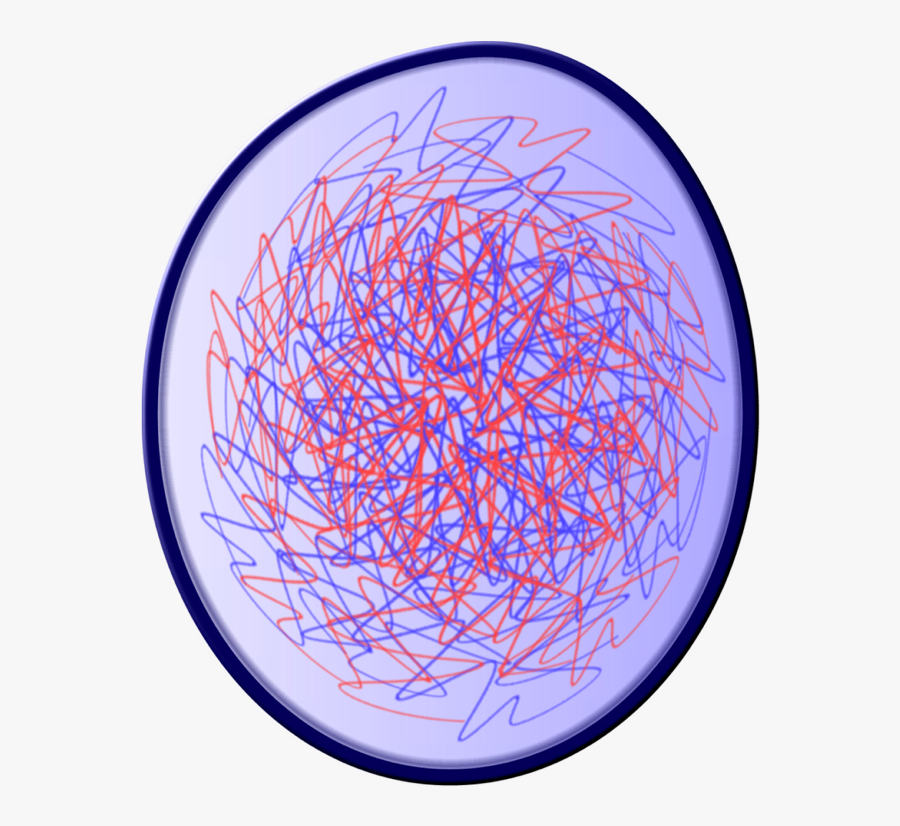 Cell Nucleus In Interphase, Transparent Clipart