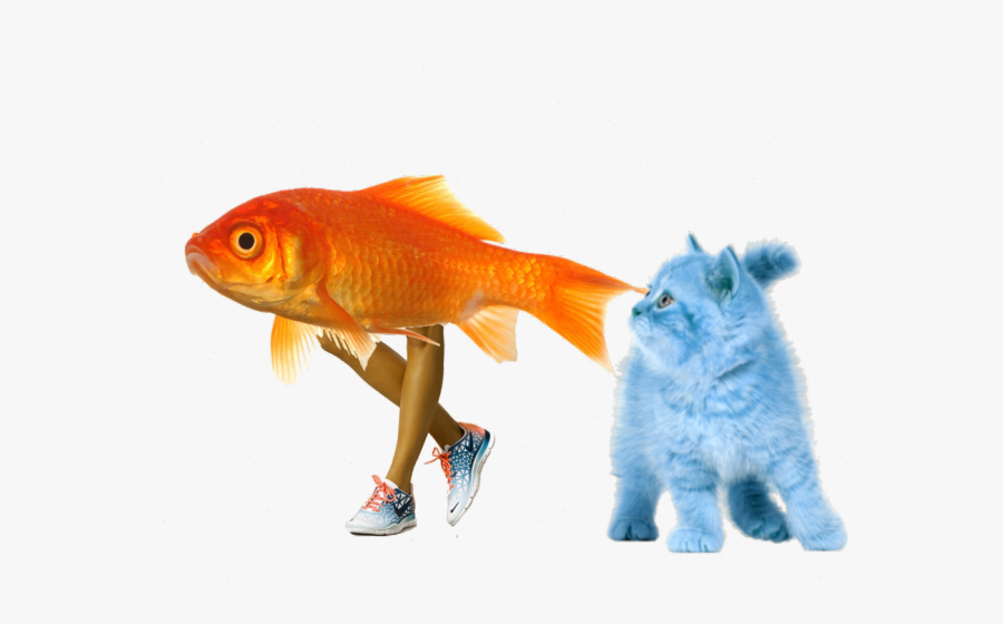 Gumball And Darwin Realistic, Transparent Clipart