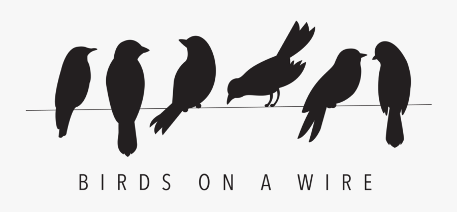 Bird Silhouette Stencil Clip Art - Birds On A Wire Clipart, Transparent Clipart