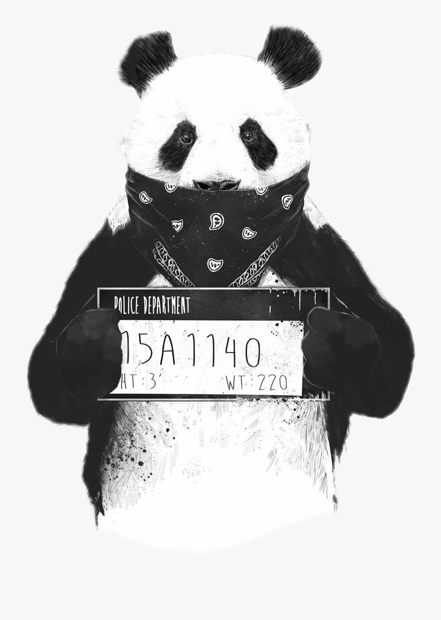 Panda - Bad Panda, Transparent Clipart