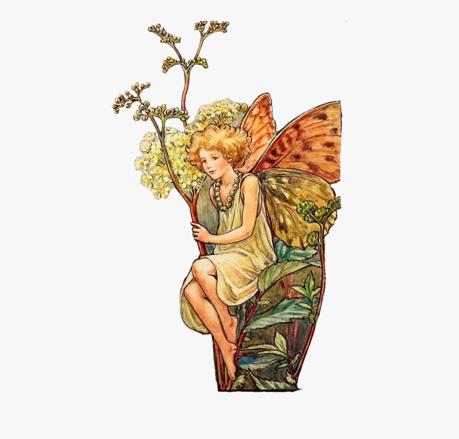 Vintage Fairy Pngs 🧚 - Flower Fairy Cicely Mary Barker Fairies, Transparent Clipart