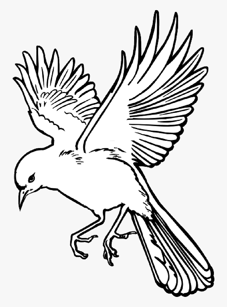 Fairy - Wings - Outline - Flying Bird Line Art, Transparent Clipart