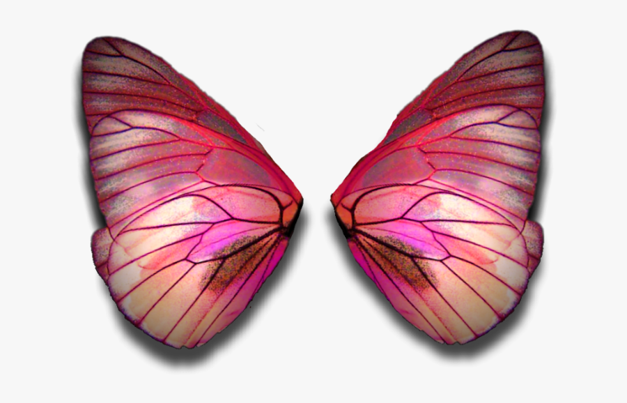 Fairy Wings Butterflywings Fairywings Faerywings Butterfly - Transparent Pink Butterfly Wings, Transparent Clipart