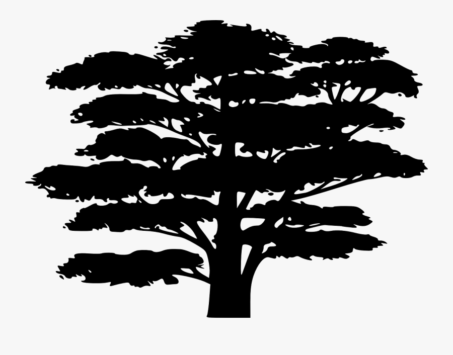 Transparent Bonsai Clipart - African Silhouette Images Of Trees, Transparent Clipart