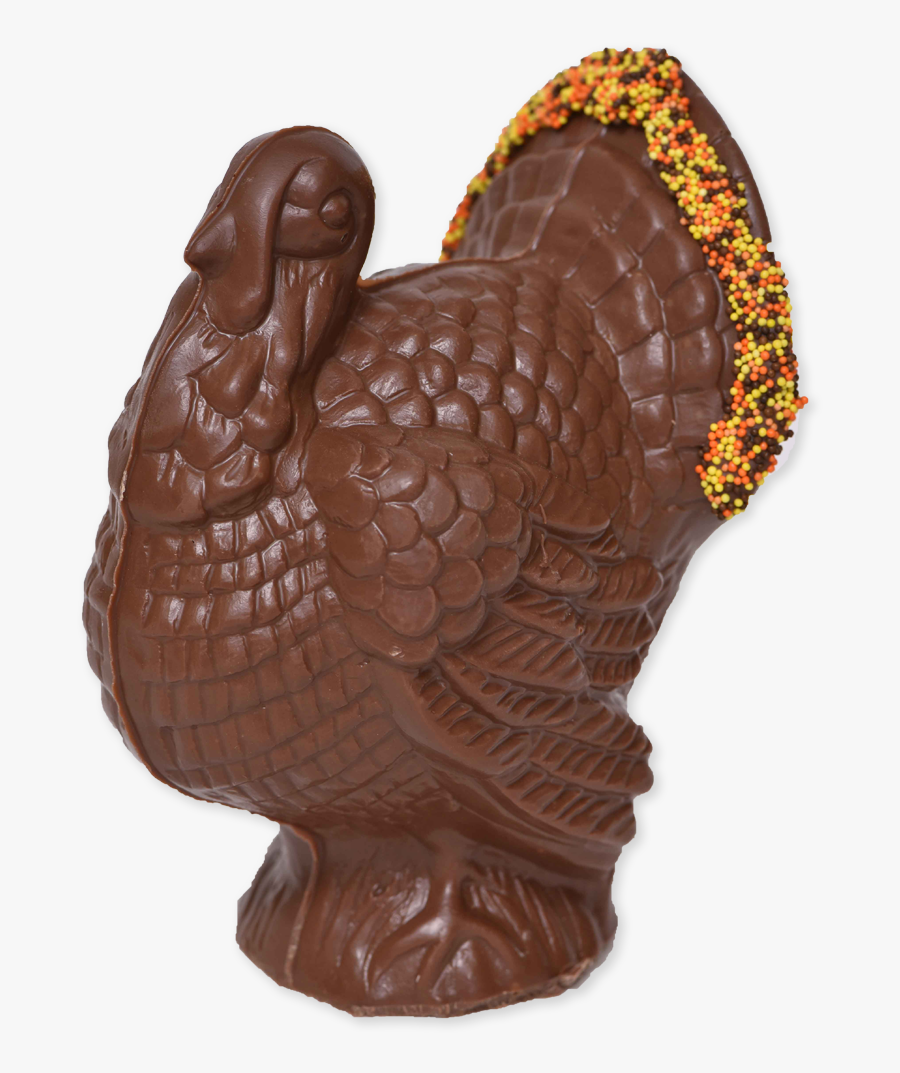 Transparent Turkey Feather Clipart - Chocolate, Transparent Clipart