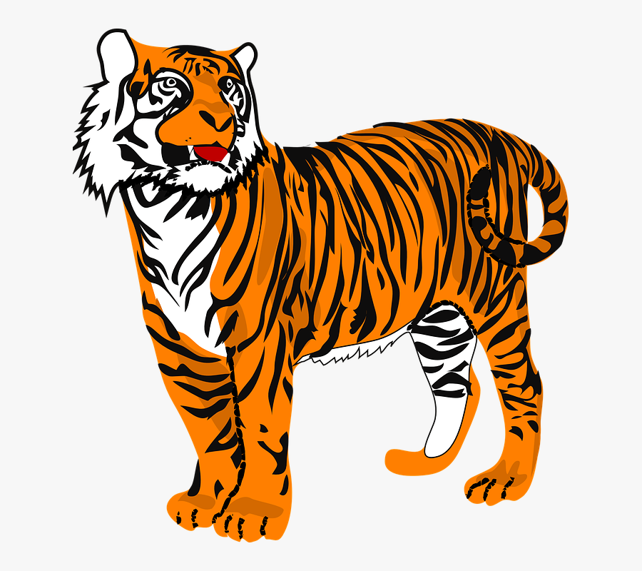 Tiger, Cat, Animal, Danger, Wildlife, Orange, Black - Clipart Images Of Tiger, Transparent Clipart