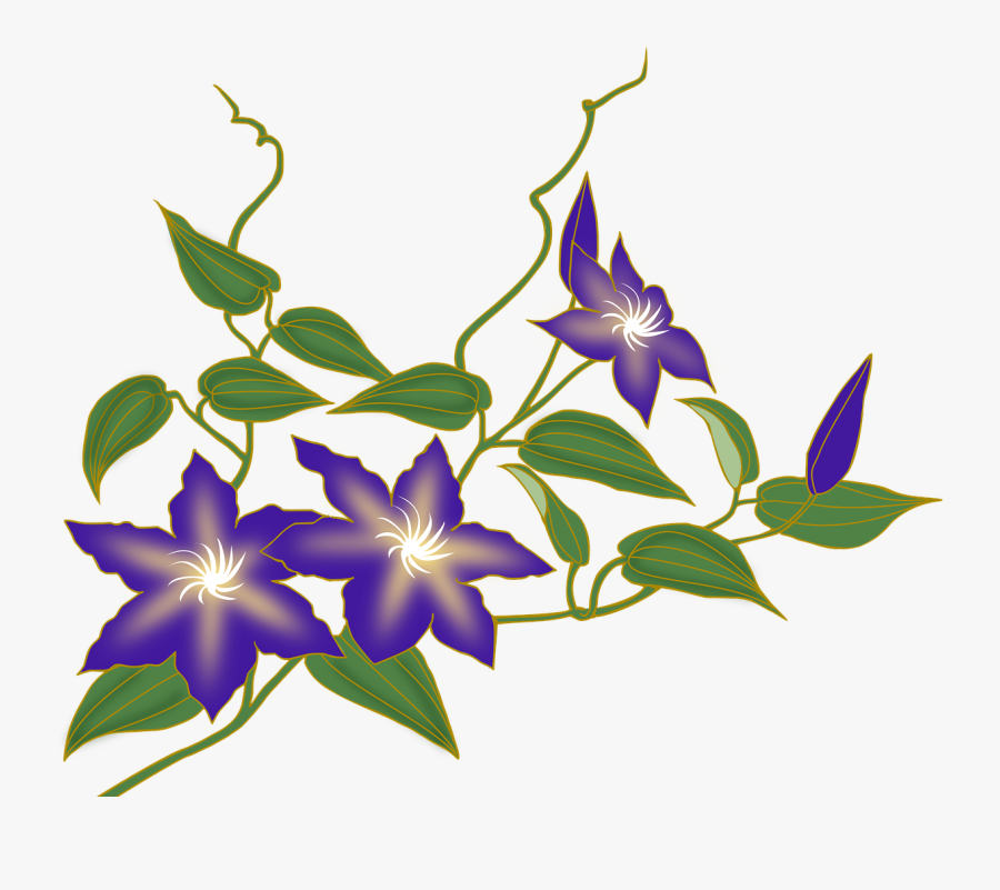 Transparent Flowering Vines Clipart - Flores Png, Transparent Clipart