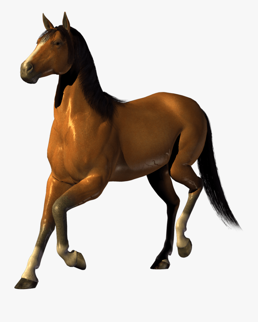 Horse Clip Art - Transparent Background Horse Png, Transparent Clipart