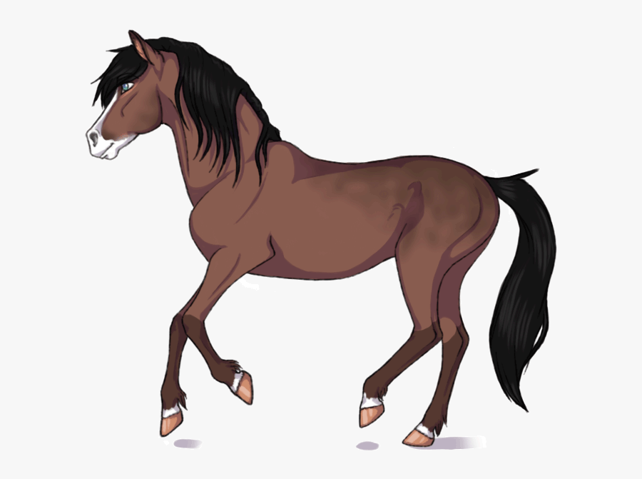 Transparent Horse Animated Gif , Free Transparent Clipart - ClipartKey