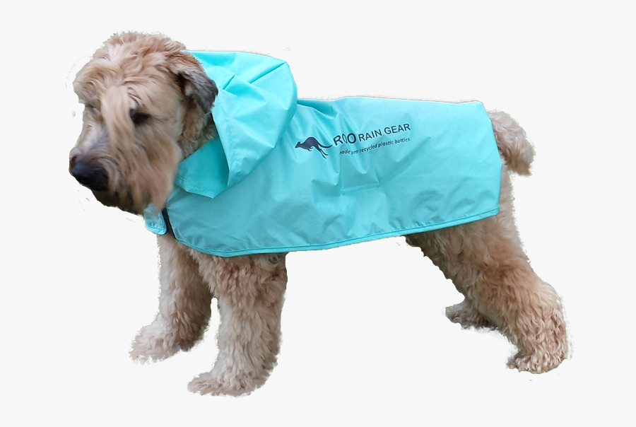 Coat Clipart Rain Poncho - Dogs Wearing Ponchos, Transparent Clipart