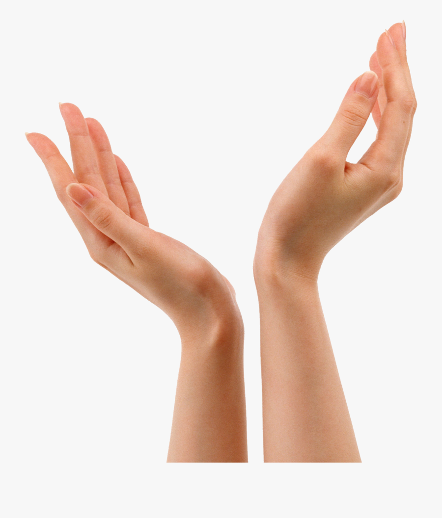 Now You Can Download Hands Png, Transparent Clipart