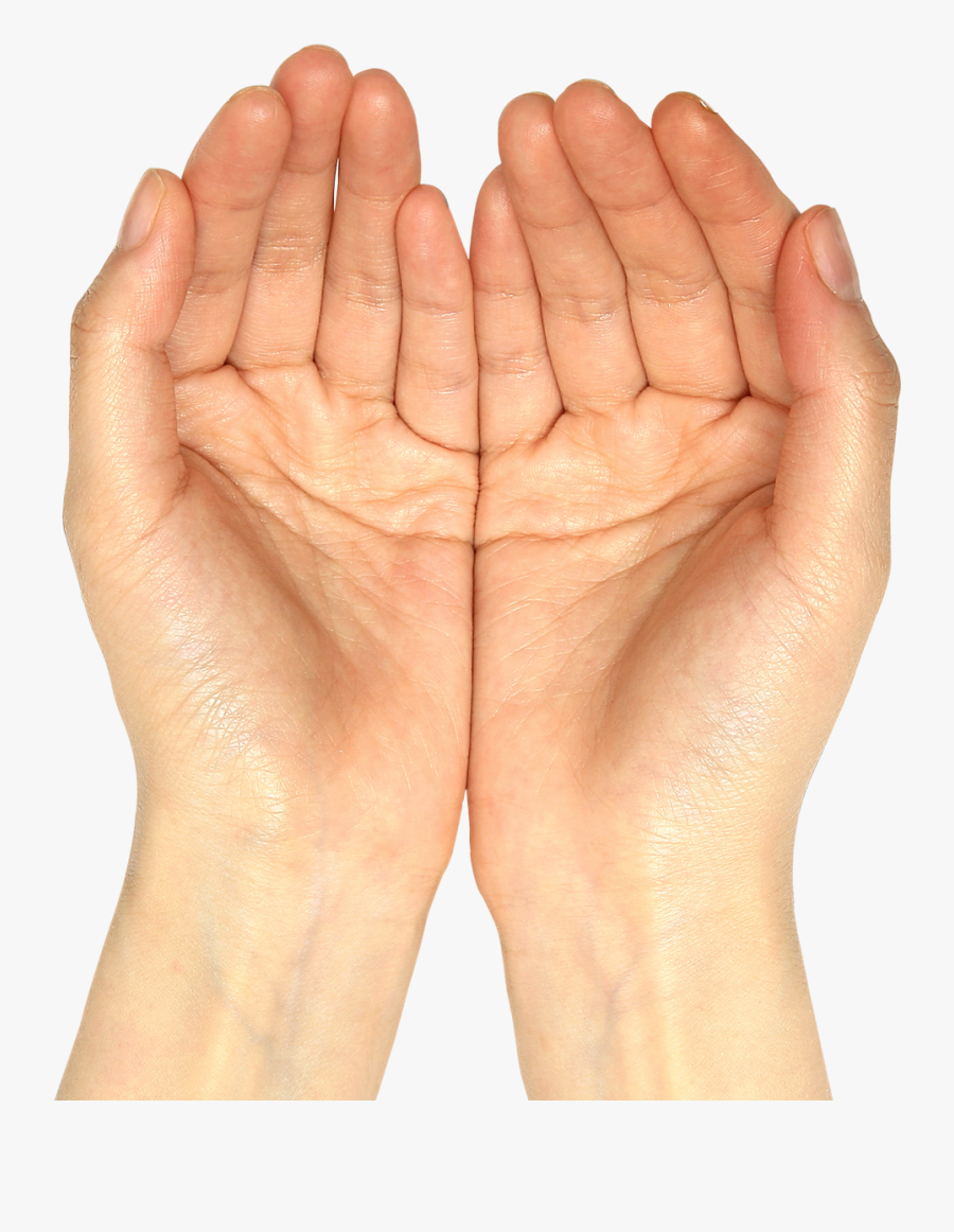 Holding Out Hands Transparent, Transparent Clipart