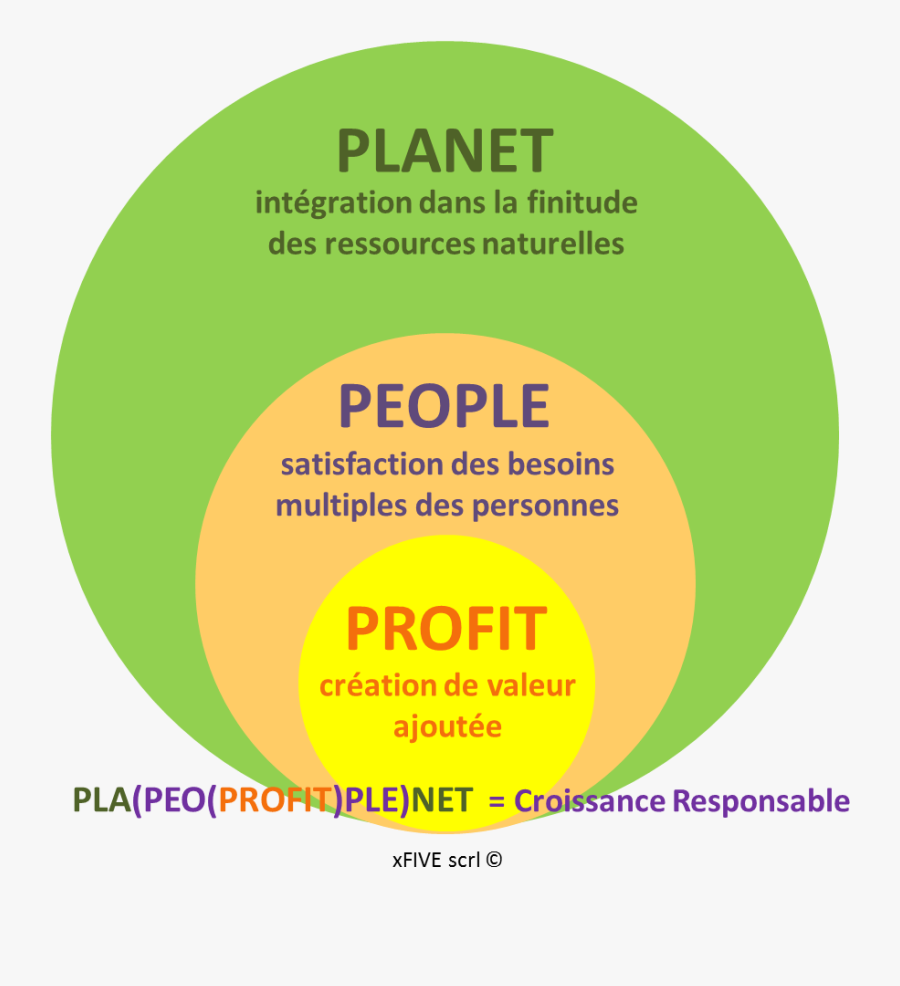 Ppp Xfive - Circle, Transparent Clipart