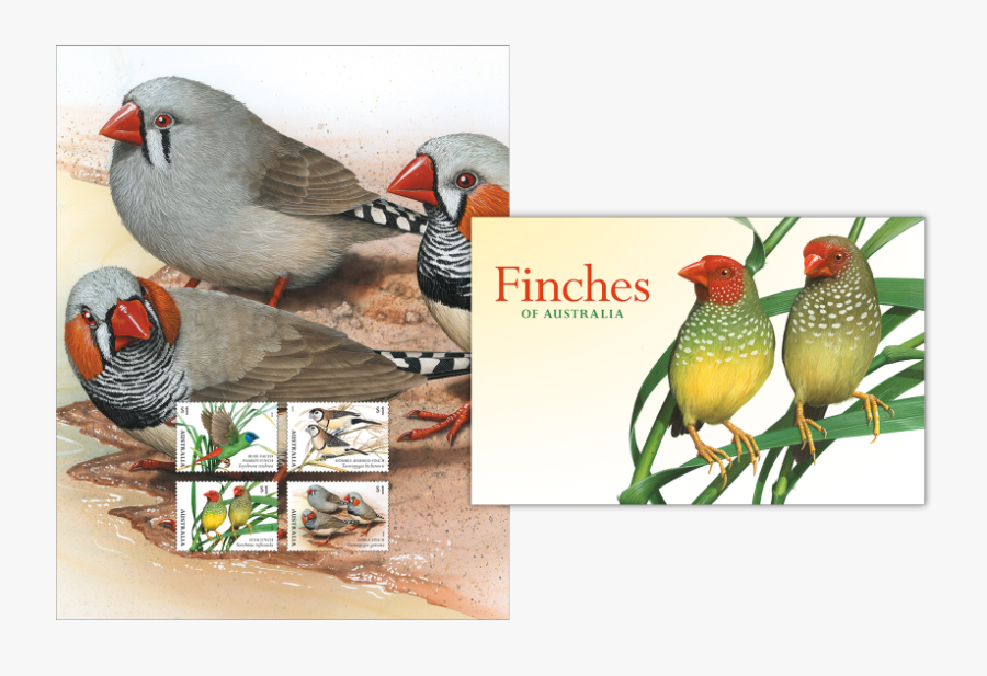 Stamp Pack Stamp Pack - Finch, Transparent Clipart