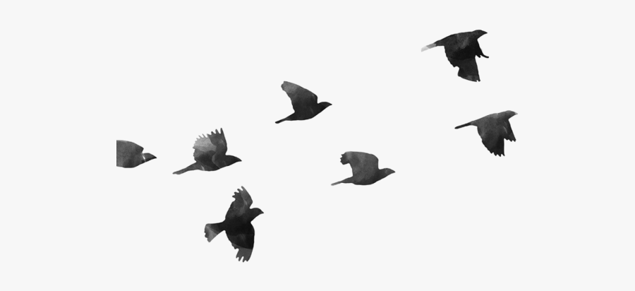 Birds Flying Cartoon Png, Transparent Clipart