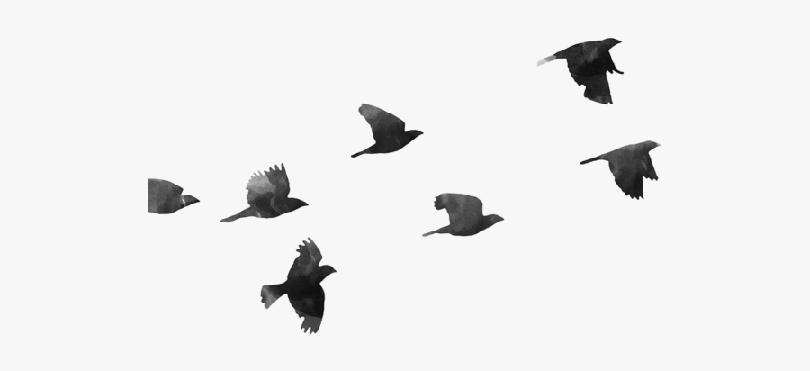 birds flying cartoon png free transparent clipart clipartkey birds flying cartoon png free