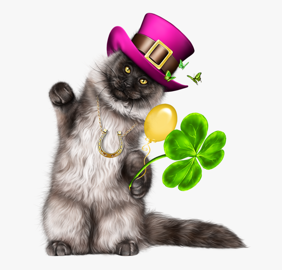 Leprechaun Cat, Transparent Clipart