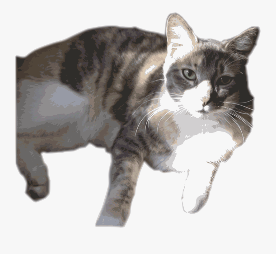 Transparent Months Clipart - British Shorthair, Transparent Clipart