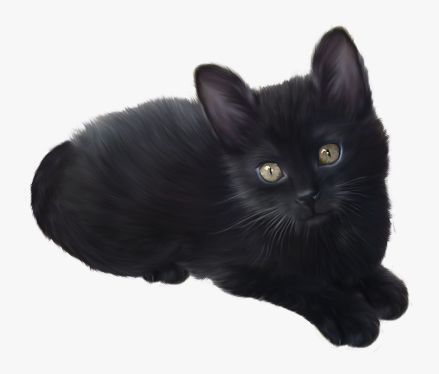 Black Kitten Transparent Background, Transparent Clipart