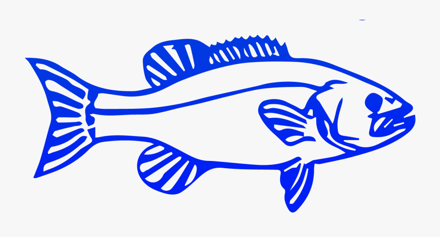 Fish, Download Png, Transparent Clipart