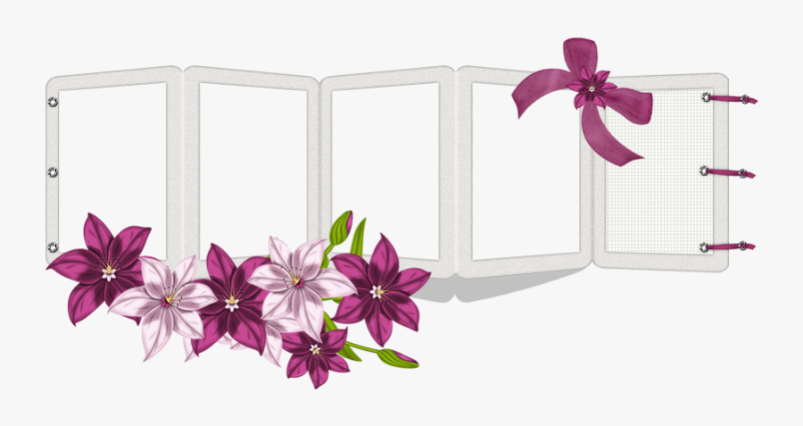 Gilliflower, Transparent Clipart